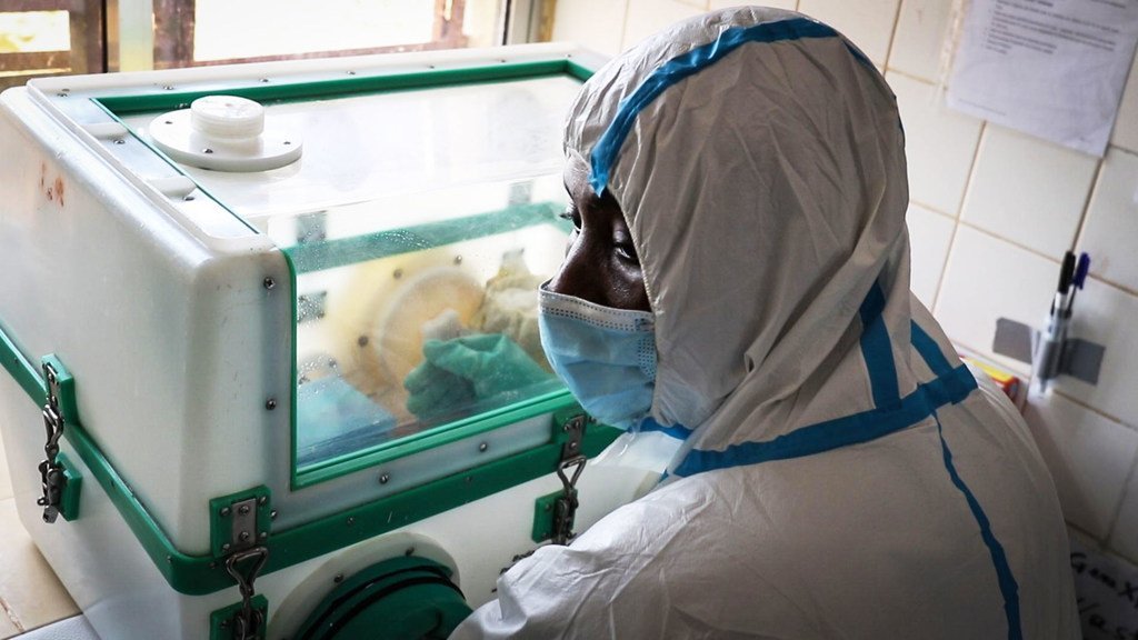 Deux scientifiques récompensés par l'OMS ont été étroitement impliqués dans la découverte de la maladie à virus Ebola.